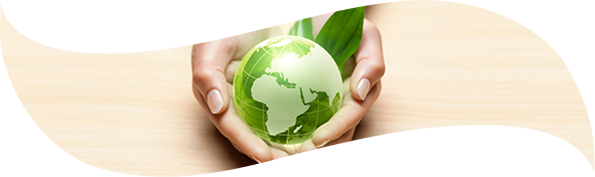 Çevre Politikamız - Paksel